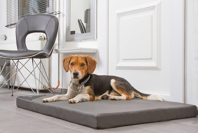 Orthopädische Hundematte Visko Style